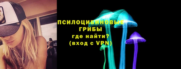 дмт Алексин